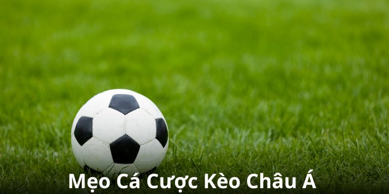 Mẹo hay cá cược