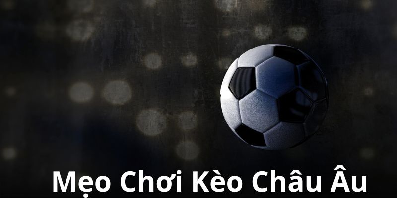 Mẹo hay cá cược