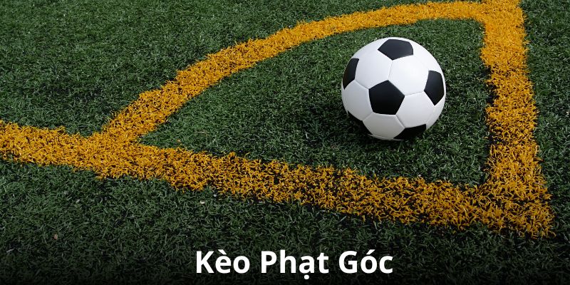 Tỷ Lệ Kèo Là Gì? Các Kèo Cược Phổ Biến