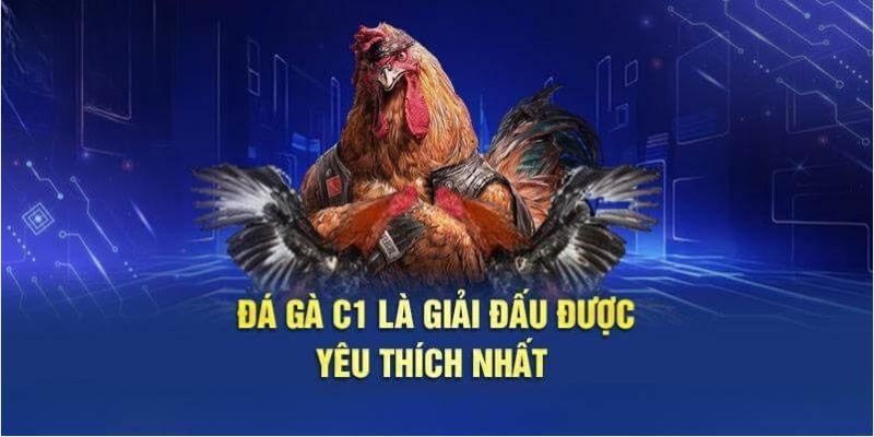 Gà Chọi C1 - Nơi Hội Tụ Thần Kê Đẳng Cấp Nhất Thế Giới